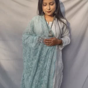 Aqua Blue and White Georgette Chikankari Dupatta