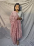 Carrot Pink And White Chikankari Tapchi Duppata