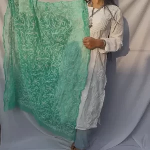 Sea Green And White Chikankari Tapchi Duppata