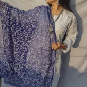 Royal Blue And White Chikankari Tapchi Duppata