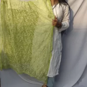 Parrot Green And White Chikan Tapchi Duppata