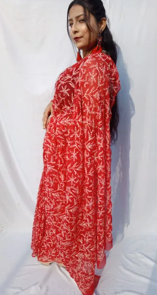 Red Chiffon Tapchi Embroidered Saree