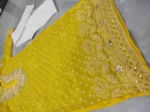 Rose Keel Jaal With Mirror And Jerkan Chikankari Set