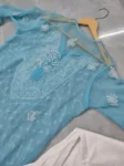 Rose Keel Jaal With Mirror And Jerkan Chikankari Set