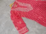 Carrot Chiffon Chikan Kurta Sharara Set