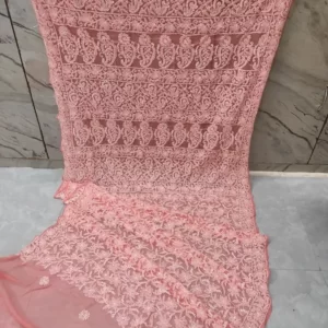 Peach Half Jaal Chikan Saree