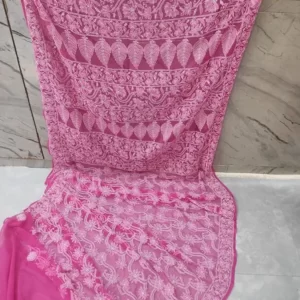 Rani Half Jaal Chikan Saree