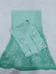 Sea Green Long Georgette Chikan Shimmery Kurti Set