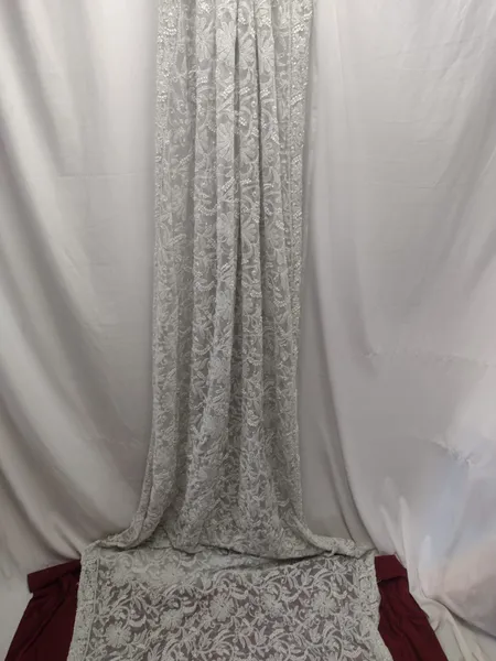White Georgette Jaal Saree