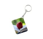 Generic Pack Of 3_ Apple One Side Printed Rectangle Designer Keychain (Red)