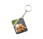 Generic Pack Of 3_ Dogs Love One Side Printed Rectangle Designer Keychain (Brown)