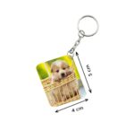 Generic Pack Of 3_ Basket Dog One Side Printed Rectangle Designer Keychain (Brown)