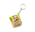 Generic Pack Of 3_ Basket Dog One Side Printed Rectangle Designer Keychain (Brown)