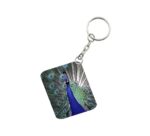 Generic Pack Of 3_ Peacock One Side Printed Rectangle Designer Keychain (Multi Color)