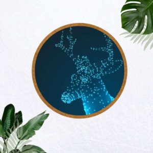COASTER SET OF 4