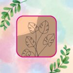 Square Coaster set of 4
