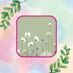 Square Coaster set of 4