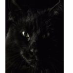 Dark Animal Mobile Case Cover