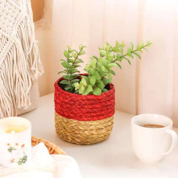 Handwoven Red Planter / Eco Friendly Organiser