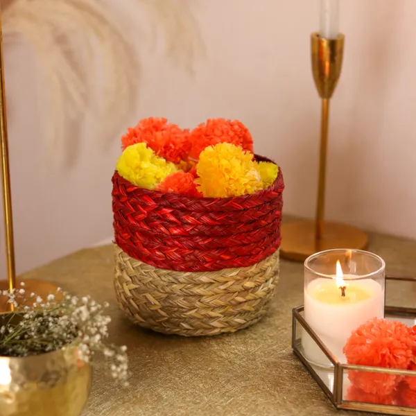 Handwoven Red Planter / Eco Friendly Organiser