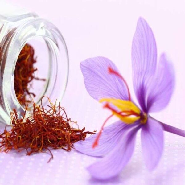 Kashmiri Mongra Saffron 1 Gram (Pack of 2)