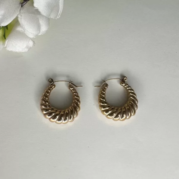 Chunky Spiral Hoop Earrings