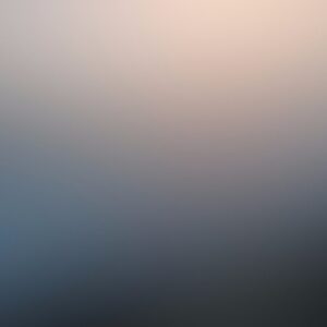 30503389507_d4e89a2d48_o_d.jpg