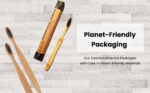 Bamboo Toothbrush | Biopdegradable | Plastic Free | BPA Free | Chemical Free - (Pack of 10)