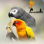 karada + sunflower mix Parrot Food 900 Grams