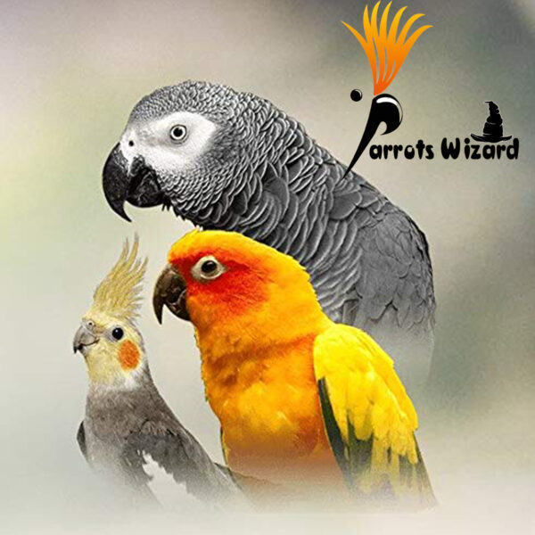 karada + sunflower mix Parrot Food 900 Grams