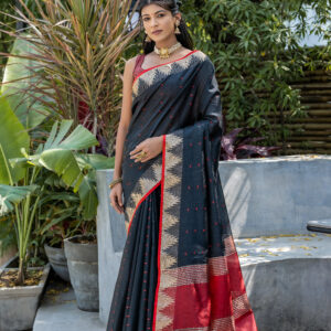 ELS_PYRAMID_BLACK saree