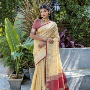 ELS_PYRAMID_CREAM saree