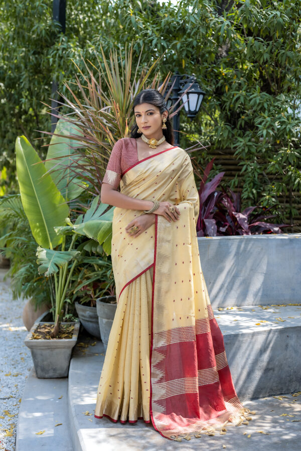 ELS_PYRAMID_CREAM saree