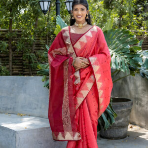 ELS_PYRAMID_GAJRI saree
