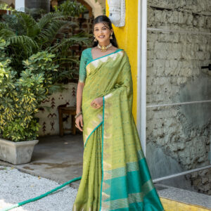 ELS_PYRAMID_PISTA saree