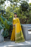 ELS_PYRAMID_YELLOW saree