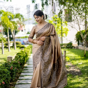 HDLM_385_CHIKU saree