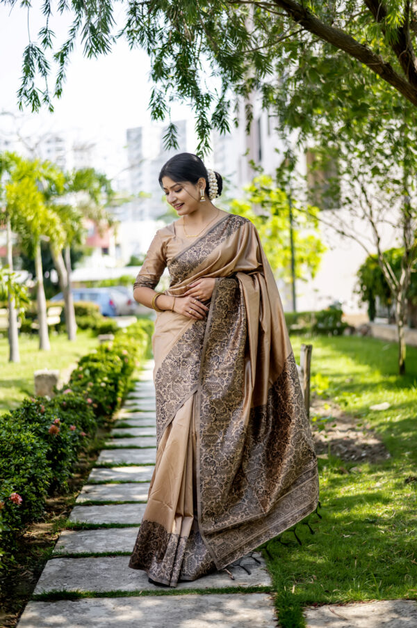 HDLM_385_CHIKU saree