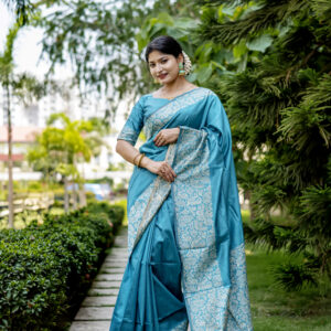 HDLM_385_FIROZI saree