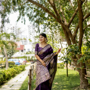HDLM_385_WINE saree