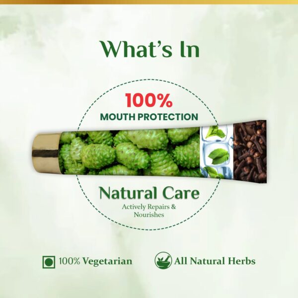 The Dave's Noni 24 Hour Oral Care Toothpaste (100 g) - Noni Toothpaste-Tooth Paste (300Grams(Pack of 3)