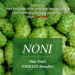 The Dave's Noni 24 Hour Oral Care Toothpaste (100 g) - Noni Toothpaste-Tooth Paste (300Grams(Pack of 3)