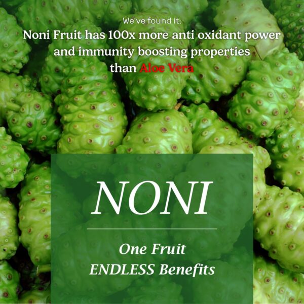 The Dave's Noni 24 Hour Oral Care Toothpaste (100 g) - Noni Toothpaste-Tooth Paste (300Grams(Pack of 3)