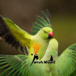 karada + sunflower mix Parrot Food 900 Grams