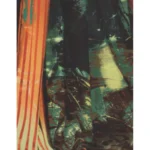 Womens Georgette Digital Printed Saree (Dark Brown, 6.25 Mtr)