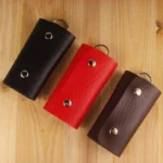 Generic Travel Key Holder (Color: Assorted)