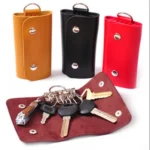Generic Travel Key Holder (Color: Assorted)