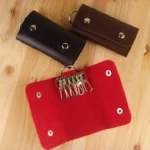 Generic Travel Key Holder (Color: Assorted)