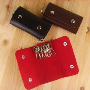 Generic Travel Key Holder (Color: Assorted)