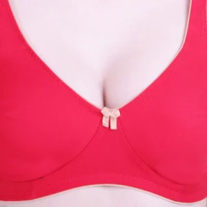 51609698903_0eca30f4fd_o_d-1000×1000-1.webp